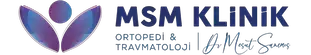 logo-msm